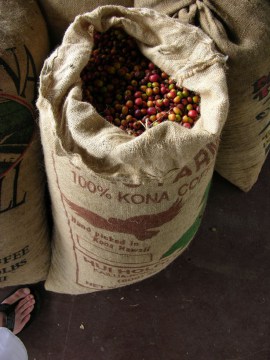 greenwell-farms-burlap-coffee-bag_4
